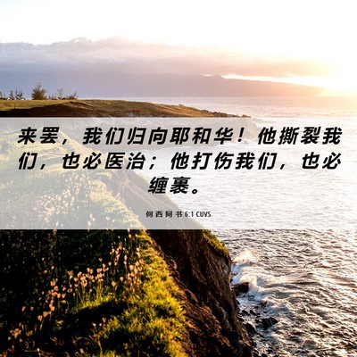 Picture 06 - 何 西 阿 书 6:1 CUVS - 来 罢 ， 我 们 归 向 耶 和 华 ！ 他 - Bible Verse Picture
