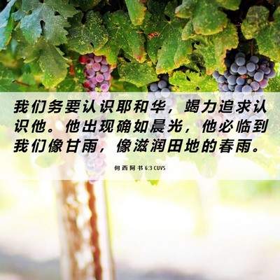 Picture 06 - 何 西 阿 书 6:3 CUVS - 我 们 务 要 认 识 耶 和 华 ， 竭 力 - Bible Verse Picture