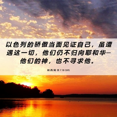 Picture 06 - 何 西 阿 书 7:10 CUVS - 以 色 列 的 骄 傲 当 面 见 证 自 己 - Bible Verse Picture
