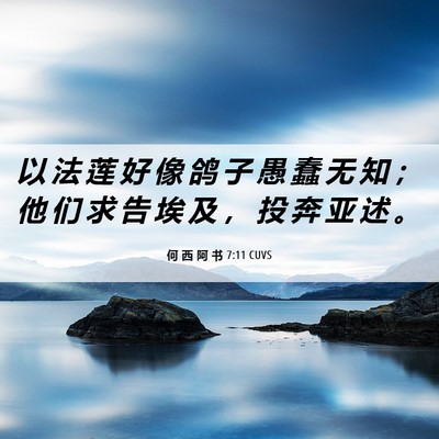 Picture 06 - 何 西 阿 书 7:11 CUVS - 以 法 莲 好 像 鸽 子 愚 蠢 无 知 ； - Bible Verse Picture