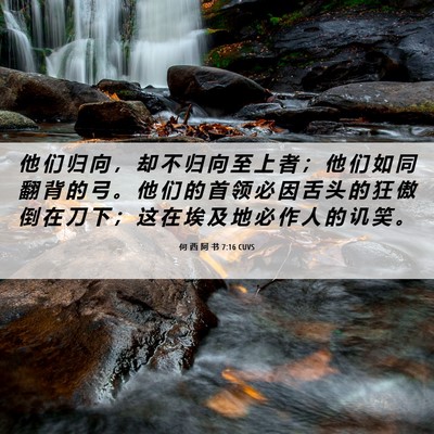Picture 06 - 何 西 阿 书 7:16 CUVS - 他 们 归 向 ， 却 不 归 向 至 上 者 - Bible Verse Picture
