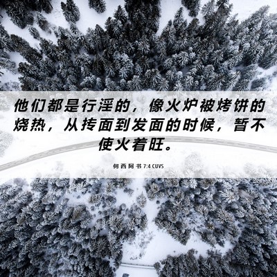 Picture 06 - 何 西 阿 书 7:4 CUVS - 他 们 都 是 行 淫 的 ， 像 火 炉 被 - Bible Verse Picture
