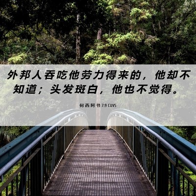 Picture 06 - 何 西 阿 书 7:9 CUVS - 外 邦 人 吞 吃 他 劳 力 得 来 的 ， - Bible Verse Picture