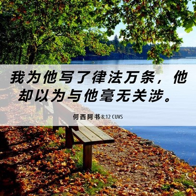 Picture 06 - 何 西 阿 书 8:12 CUVS - 我 为 他 写 了 律 法 万 条 ， 他 却 - Bible Verse Picture