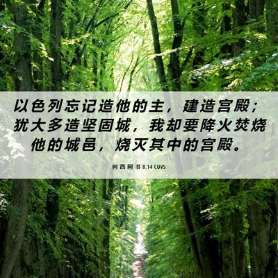 Picture 06 - 何 西 阿 书 8:14 CUVS - 以 色 列 忘 记 造 他 的 主 ， 建 造 - Bible Verse Picture