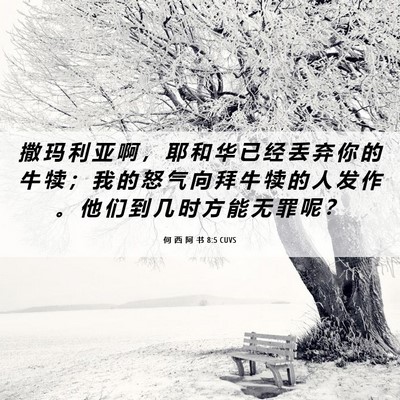 Picture 06 - 何 西 阿 书 8:5 CUVS - 撒 玛 利 亚 啊 ， 耶 和 华 已 经 丢 - Bible Verse Picture