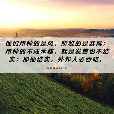 Picture 06 - 何 西 阿 书 8:7 CUVS - 他 们 所 种 的 是 风 ， 所 收 的 是 - Bible Verse Picture