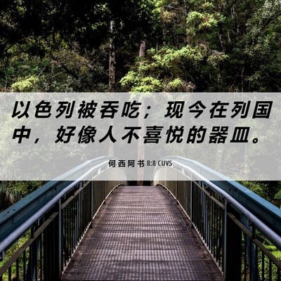 Picture 06 - 何 西 阿 书 8:8 CUVS - 以 色 列 被 吞 吃 ； 现 今 在 列 国 - Bible Verse Picture