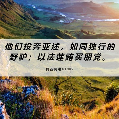Picture 06 - 何 西 阿 书 8:9 CUVS - 他 们 投 奔 亚 述 ， 如 同 独 行 的 - Bible Verse Picture
