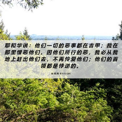 Picture 06 - 何 西 阿 书 9:15 CUVS - 耶 和 华 说 ： 他 们 一 切 的 恶 事 - Bible Verse Picture