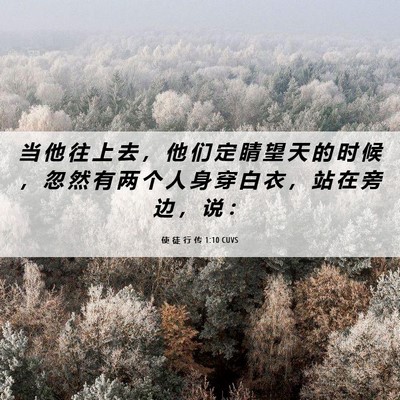 Picture 06 - 使 徒 行 传 1:10 CUVS - 当 他 往 上 去 ， 他 们 定 睛 望 天 - Bible Verse Picture
