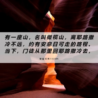 Picture 06 - 使 徒 行 传 1:12 CUVS - 有 一 座 山 ， 名 叫 橄 榄 山 ， 离 - Bible Verse Picture