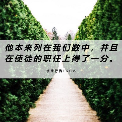 Picture 06 - 使 徒 行 传 1:17 CUVS - 他 本 来 列 在 我 们 数 中 ， 并 且 - Bible Verse Picture