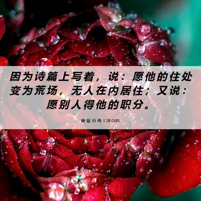 Picture 06 - 使 徒 行 传 1:20 CUVS - 因 为 诗 篇 上 写 着 ， 说 ： 愿 他 - Bible Verse Picture