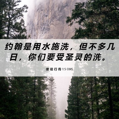 Picture 06 - 使 徒 行 传 1:5 CUVS - 约 翰 是 用 水 施 洗 ， 但 不 多 几 - Bible Verse Picture