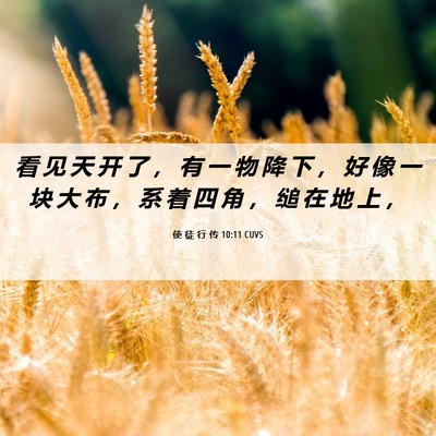 Picture 06 - 使 徒 行 传 10:11 CUVS - 看 见 天 开 了 ， 有 一 物 降 下 ， - Bible Verse Picture