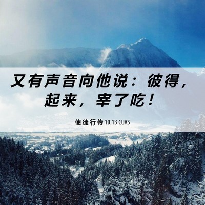 Picture 06 - 使 徒 行 传 10:13 CUVS - 又 有 声 音 向 他 说 ： 彼 得 ， 起 - Bible Verse Picture