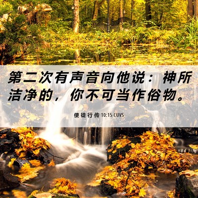 Picture 06 - 使 徒 行 传 10:15 CUVS - 第 二 次 有 声 音 向 他 说 ： 神 所 - Bible Verse Picture