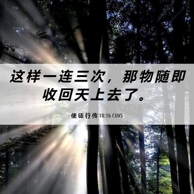 Picture 06 - 使 徒 行 传 10:16 CUVS - 这 样 一 连 三 次 ， 那 物 随 即 收 - Bible Verse Picture
