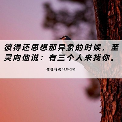 Picture 06 - 使 徒 行 传 10:19 CUVS - 彼 得 还 思 想 那 异 象 的 时 候 ， - Bible Verse Picture