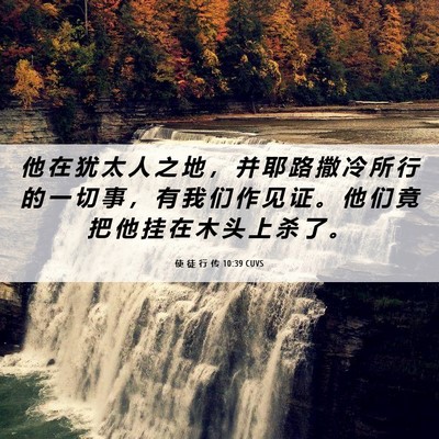 Picture 06 - 使 徒 行 传 10:39 CUVS - 他 在 犹 太 人 之 地 ， 并 耶 路 撒 - Bible Verse Picture