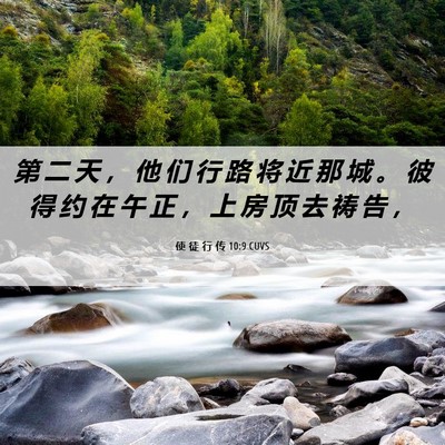 Picture 06 - 使 徒 行 传 10:9 CUVS - 第 二 天 ， 他 们 行 路 将 近 那 城 - Bible Verse Picture