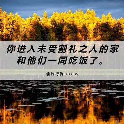 Picture 06 - 使 徒 行 传 11:3 CUVS - 你 进 入 未 受 割 礼 之 人 的 家 和 - Bible Verse Picture