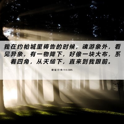 Picture 06 - 使 徒 行 传 11:5 CUVS - 我 在 约 帕 城 里 祷 告 的 时 候 ， - Bible Verse Picture
