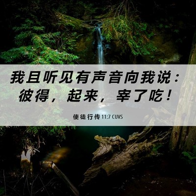 Picture 06 - 使 徒 行 传 11:7 CUVS - 我 且 听 见 有 声 音 向 我 说 ： 彼 - Bible Verse Picture