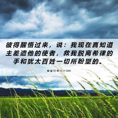 Picture 06 - 使 徒 行 传 12:11 CUVS - 彼 得 醒 悟 过 来 ， 说 ： 我 现 在 - Bible Verse Picture