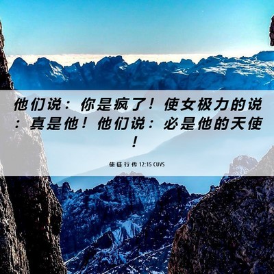Picture 06 - 使 徒 行 传 12:15 CUVS - 他 们 说 ： 你 是 疯 了 ！ 使 女 极 - Bible Verse Picture