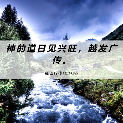 Picture 06 - 使 徒 行 传 12:24 CUVS - 神 的 道 日 见 兴 旺 ， 越 发 广 传 - Bible Verse Picture