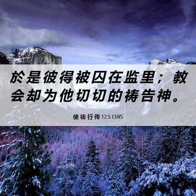 Picture 06 - 使 徒 行 传 12:5 CUVS - 於 是 彼 得 被 囚 在 监 里 ； 教 会 - Bible Verse Picture