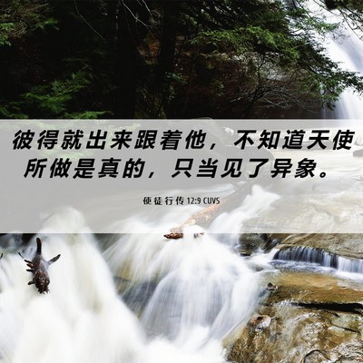 Picture 06 - 使 徒 行 传 12:9 CUVS - 彼 得 就 出 来 跟 着 他 ， 不 知 道 - Bible Verse Picture