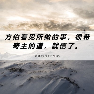 Picture 06 - 使 徒 行 传 13:12 CUVS - 方 伯 看 见 所 做 的 事 ， 很 希 奇 - Bible Verse Picture