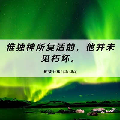 Picture 06 - 使 徒 行 传 13:37 CUVS - 惟 独 神 所 复 活 的 ， 他 并 未 见 - Bible Verse Picture