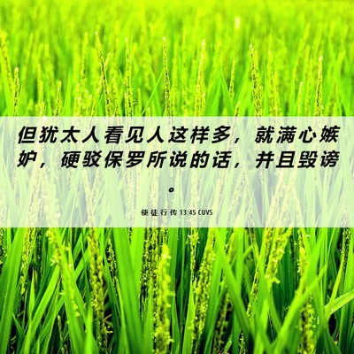 Picture 06 - 使 徒 行 传 13:45 CUVS - 但 犹 太 人 看 见 人 这 样 多 ， 就 - Bible Verse Picture