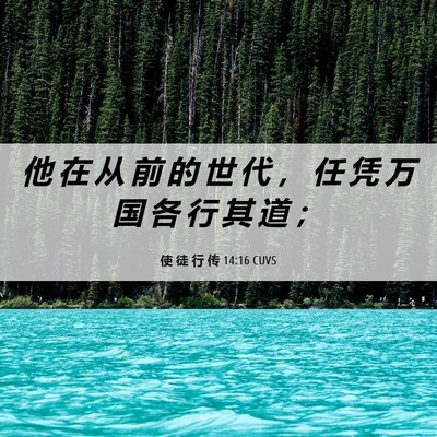 Picture 06 - 使 徒 行 传 14:16 CUVS - 他 在 从 前 的 世 代 ， 任 凭 万 国 - Bible Verse Picture