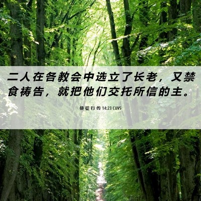 Picture 06 - 使 徒 行 传 14:23 CUVS - 二 人 在 各 教 会 中 选 立 了 长 老 - Bible Verse Picture
