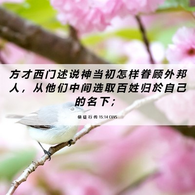 Picture 06 - 使 徒 行 传 15:14 CUVS - 方 才 西 门 述 说 神 当 初 怎 样 眷 - Bible Verse Picture