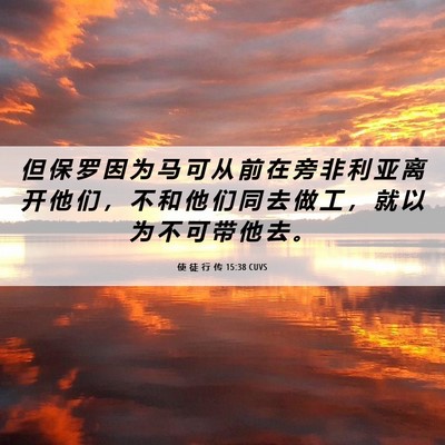 Picture 06 - 使 徒 行 传 15:38 CUVS - 但 保 罗 因 为 马 可 从 前 在 旁 非 - Bible Verse Picture
