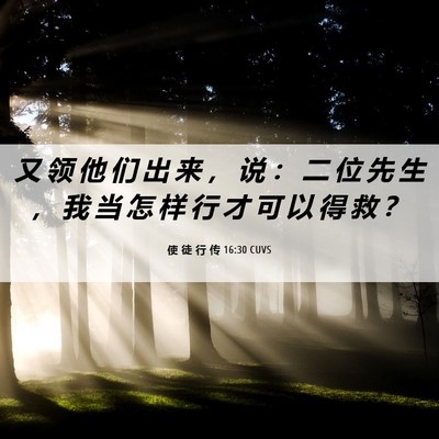 Picture 06 - 使 徒 行 传 16:30 CUVS - 又 领 他 们 出 来 ， 说 ： 二 位 先 - Bible Verse Picture