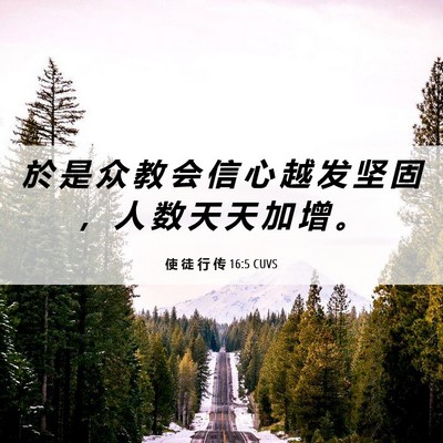 Picture 06 - 使 徒 行 传 16:5 CUVS - 於 是 众 教 会 信 心 越 发 坚 固 ， - Bible Verse Picture