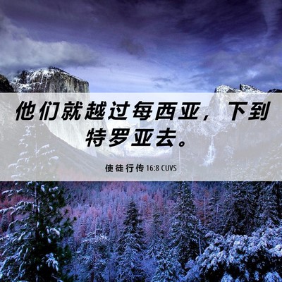 Picture 06 - 使 徒 行 传 16:8 CUVS - 他 们 就 越 过 每 西 亚 ， 下 到 特 - Bible Verse Picture