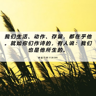 Picture 06 - 使 徒 行 传 17:28 CUVS - 我 们 生 活 、 动 作 、 存 留 ， 都 - Bible Verse Picture