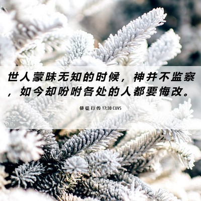 Picture 06 - 使 徒 行 传 17:30 CUVS - 世 人 蒙 昧 无 知 的 时 候 ， 神 并 - Bible Verse Picture