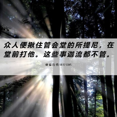Picture 06 - 使 徒 行 传 18:17 CUVS - 众 人 便 揪 住 管 会 堂 的 所 提 尼 - Bible Verse Picture