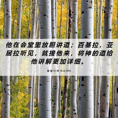 Picture 06 - 使 徒 行 传 18:26 CUVS - 他 在 会 堂 里 放 胆 讲 道 ； 百 基 - Bible Verse Picture