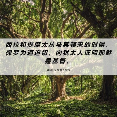 Picture 06 - 使 徒 行 传 18:5 CUVS - 西 拉 和 提 摩 太 从 马 其 顿 来 的 - Bible Verse Picture