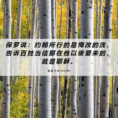 Picture 06 - 使 徒 行 传 19:4 CUVS - 保 罗 说 ： 约 翰 所 行 的 是 悔 改 - Bible Verse Picture